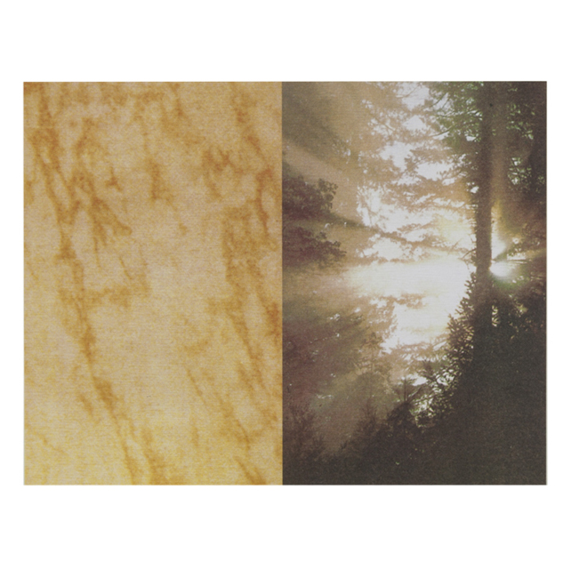 RECORDATORIOS MODERNOS # MD-16 BosqueLuz