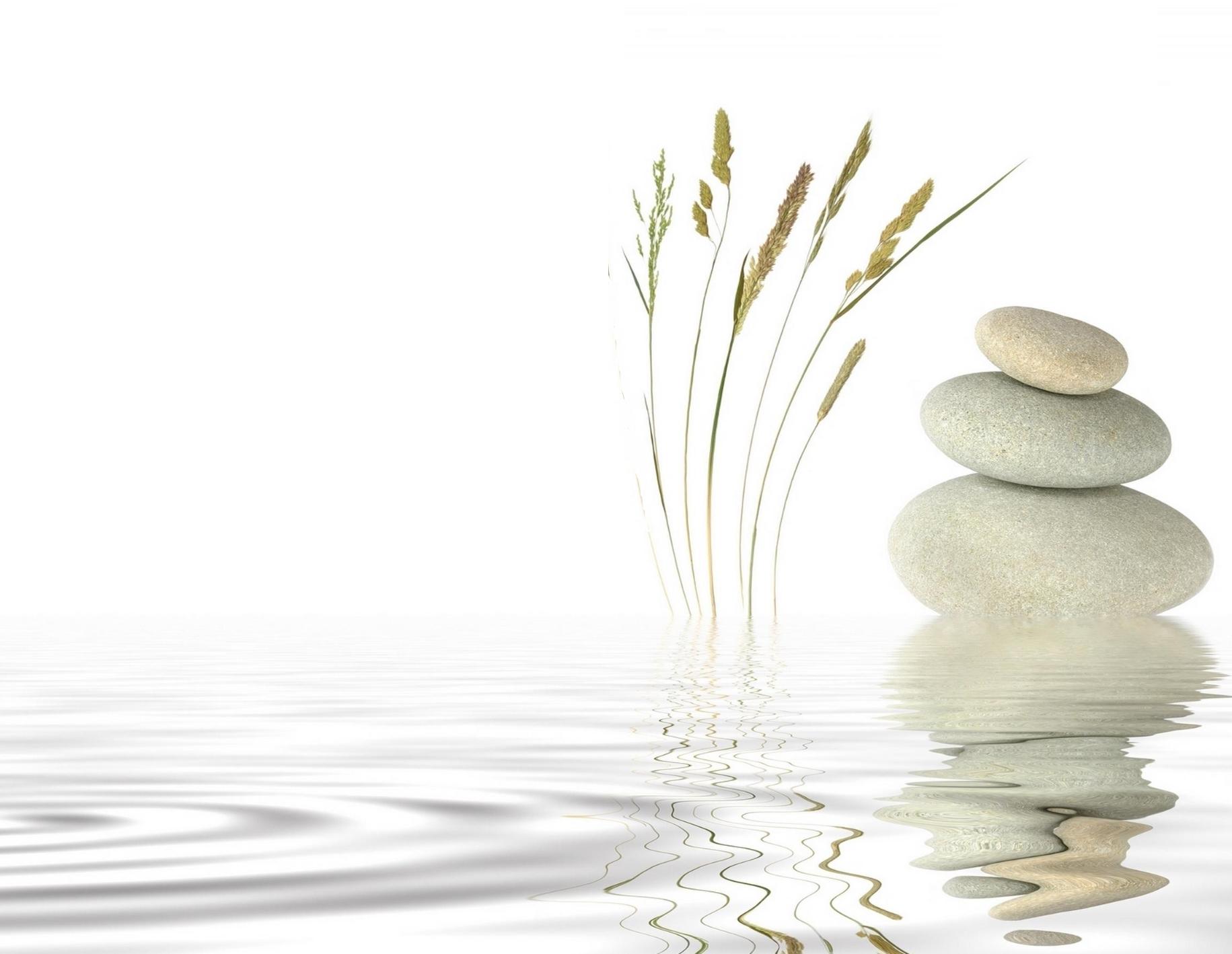 RECORDATORIOS MODERNOS # MD-54-Zen Espiga