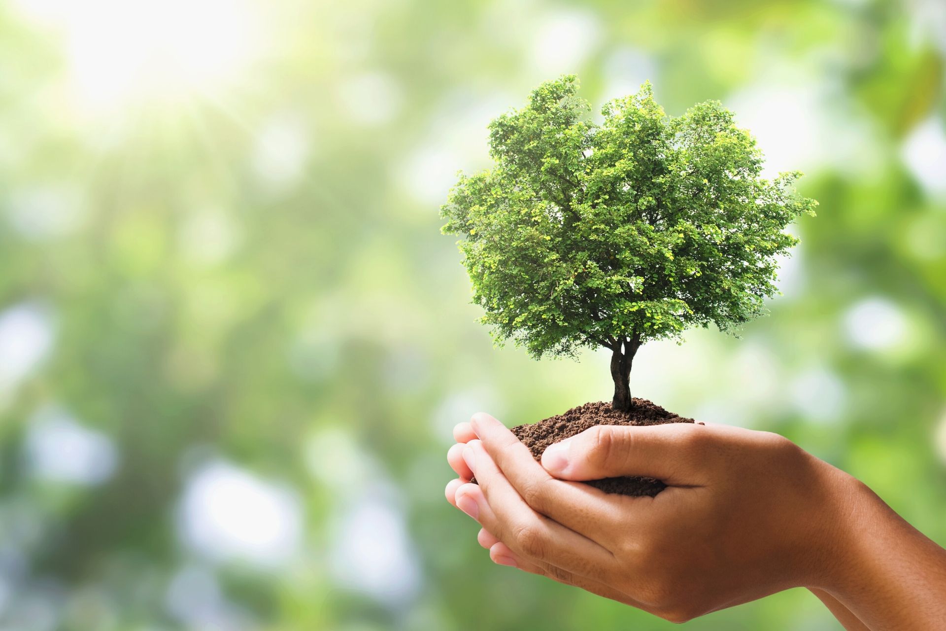 Relicario árbol plata