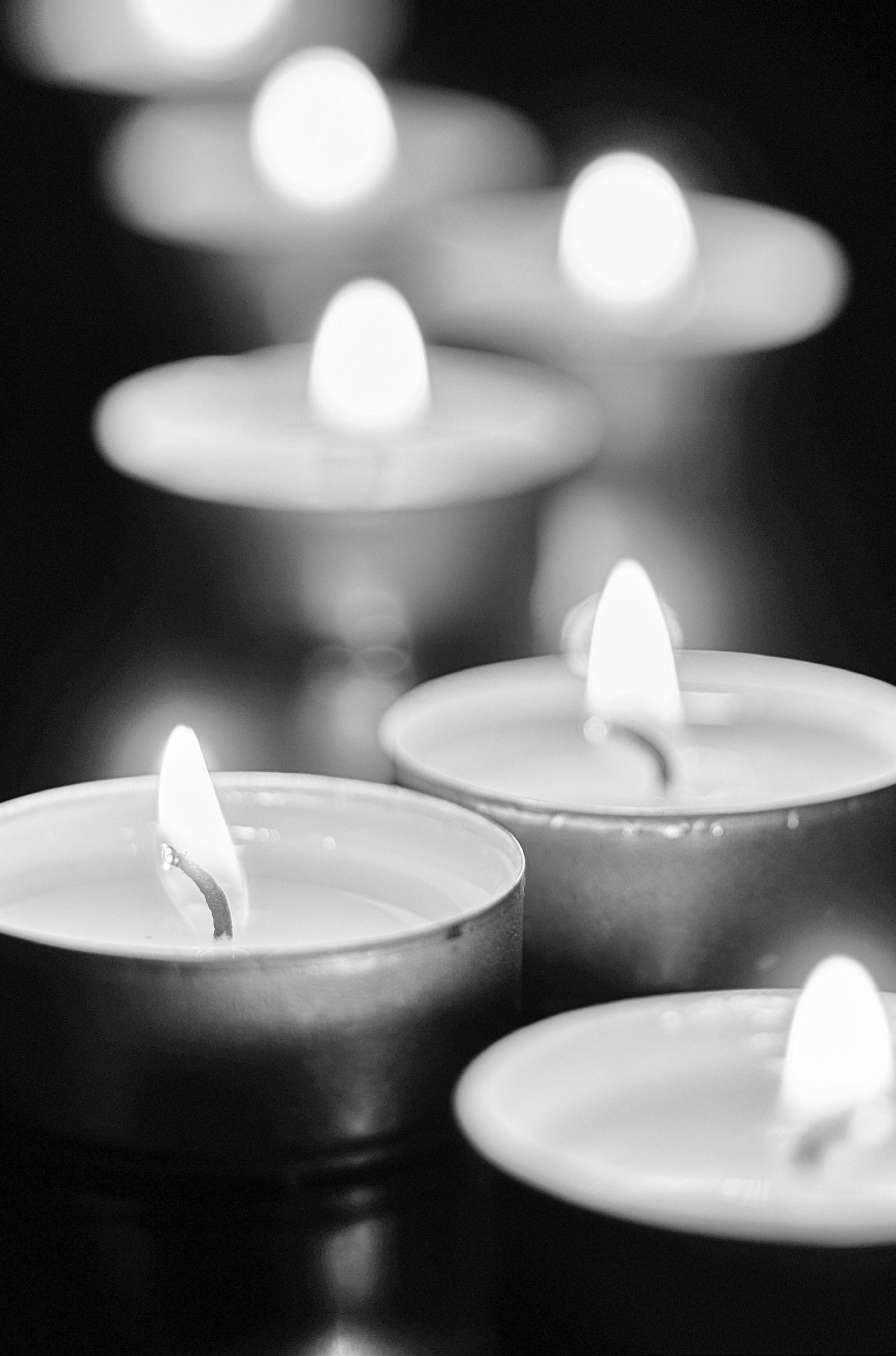 Día de Todos los Santos