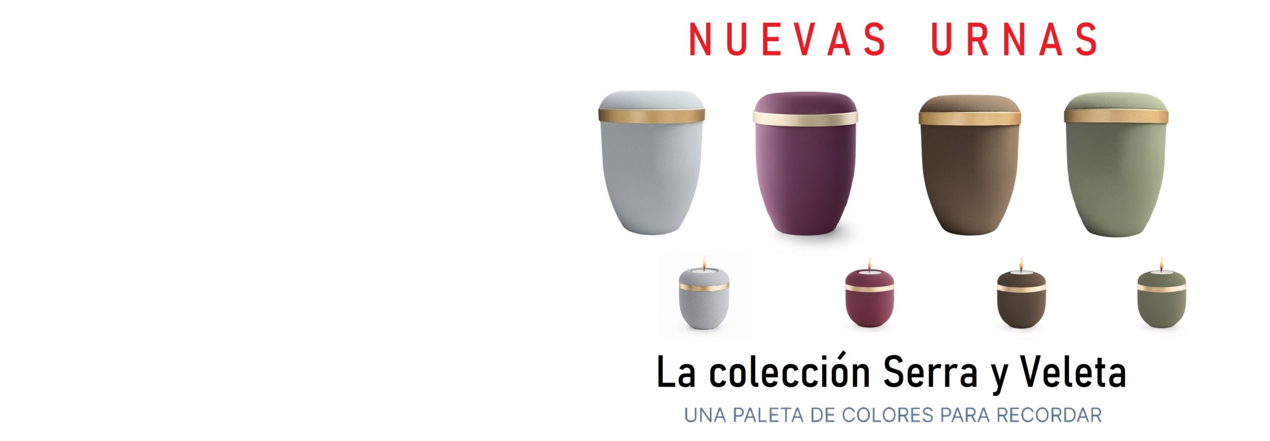 Web slider8